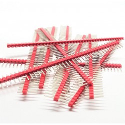 X10 PCS Header Rouge males...